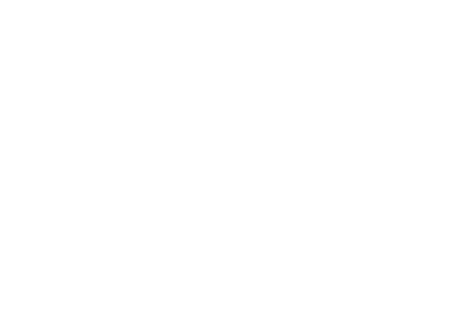 Olhos do gato da Houx Tech